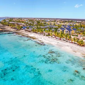 Delfins Bonaire, Tapestry Collection By Hilton Kralendijk (Bonaire)